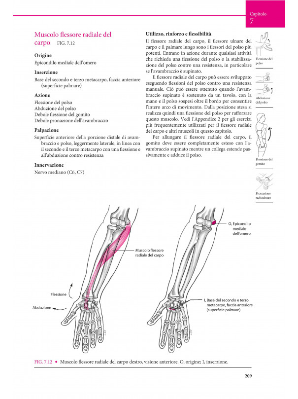 Manuale di kinesiologia strutturale