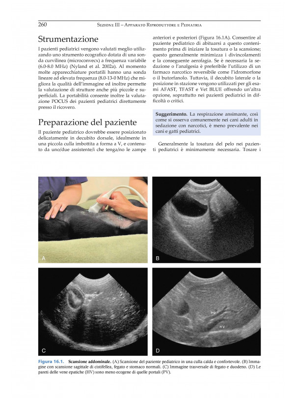 Tecniche Ecografiche - Point-of-Care per il Veterinario dei Piccoli Animali