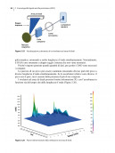 Cromatografia. Principi di base, preparazione di campioni e metodi correlati