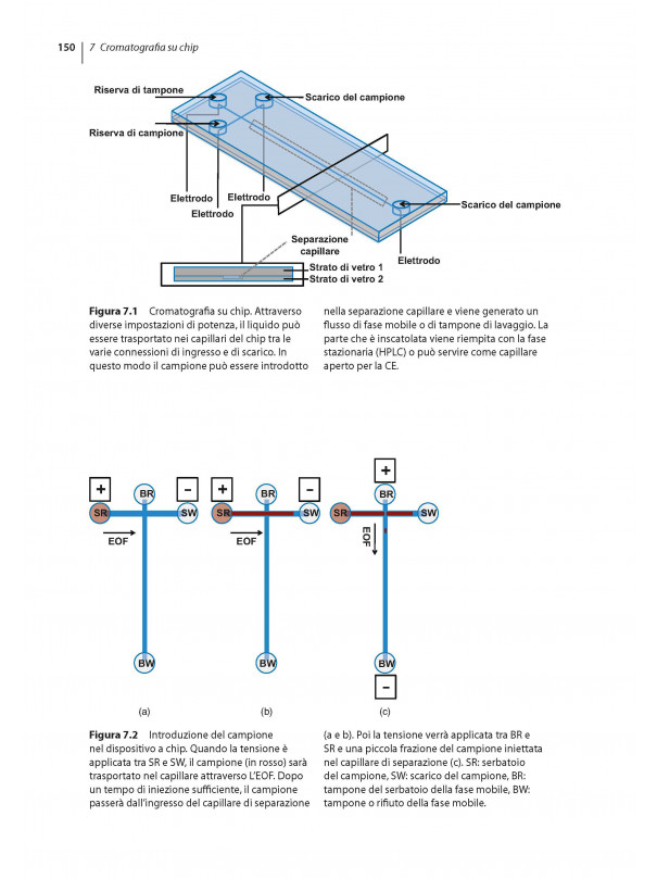 Cromatografia. Principi di base, preparazione di campioni e metodi correlati