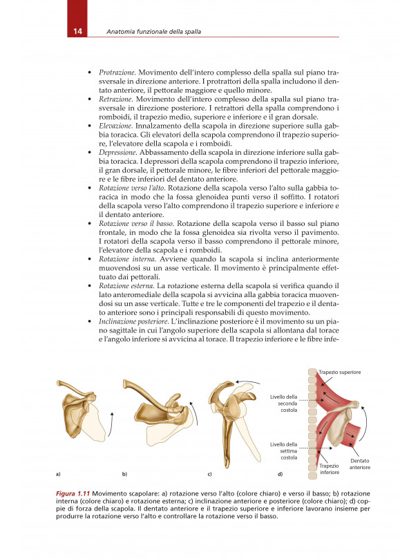 La Spalla