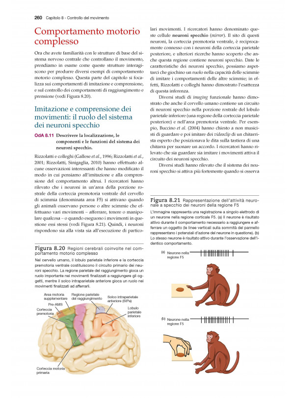 Fisiologia del comportamento