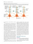 Fisiologia del comportamento