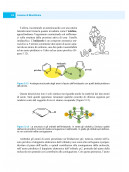 L’esame di Biochimica: briciole di conoscenza, logica e buon senso per evitare pericolosi luoghi comuni