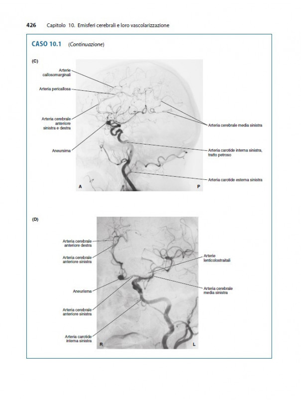 Neuroanatomia attraverso Casi Clinici