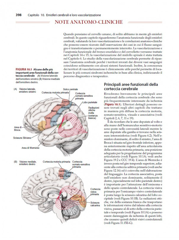 Neuroanatomia attraverso Casi Clinici