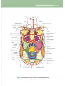 OSTEOPATIA NON STRUTTURALE