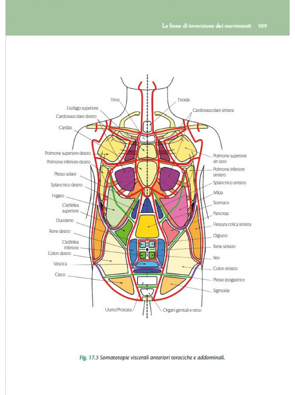 OSTEOPATIA NON STRUTTURALE