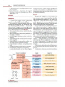 Terapia farmacologica