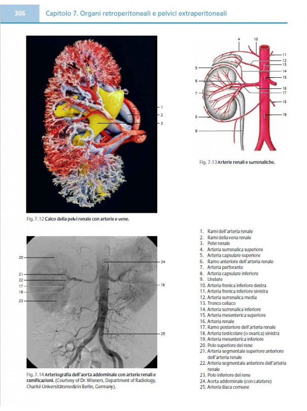 Atlante fotografico di anatomia umana