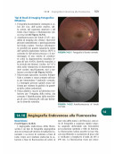 Wills Eye - Il Manuale - Diagnosi e Trattamento delle Malattie Oculari in Ambulatorio e Pronto Soccorso