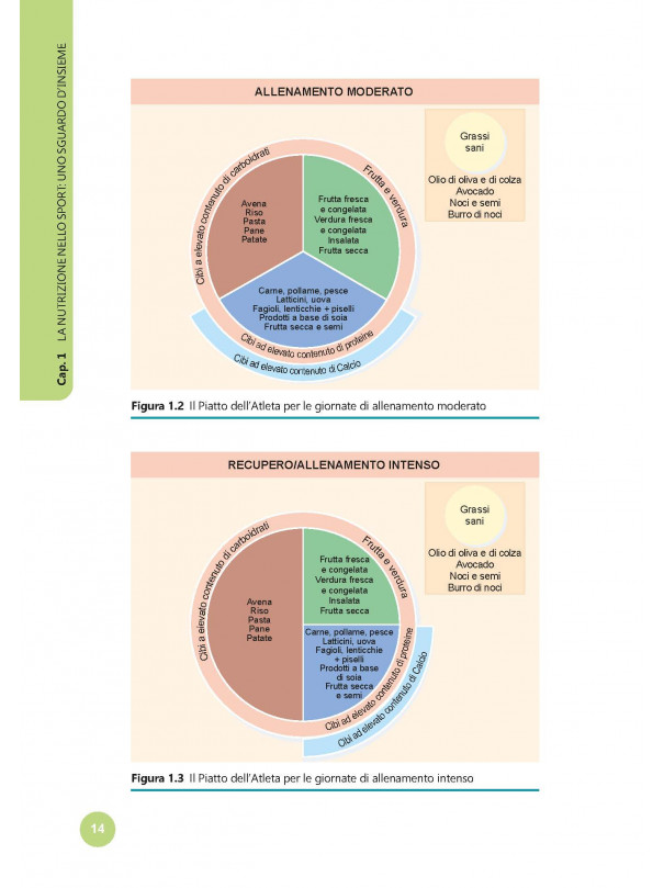 Guida completa alla ALIMENTAZIONE SPORTIVA