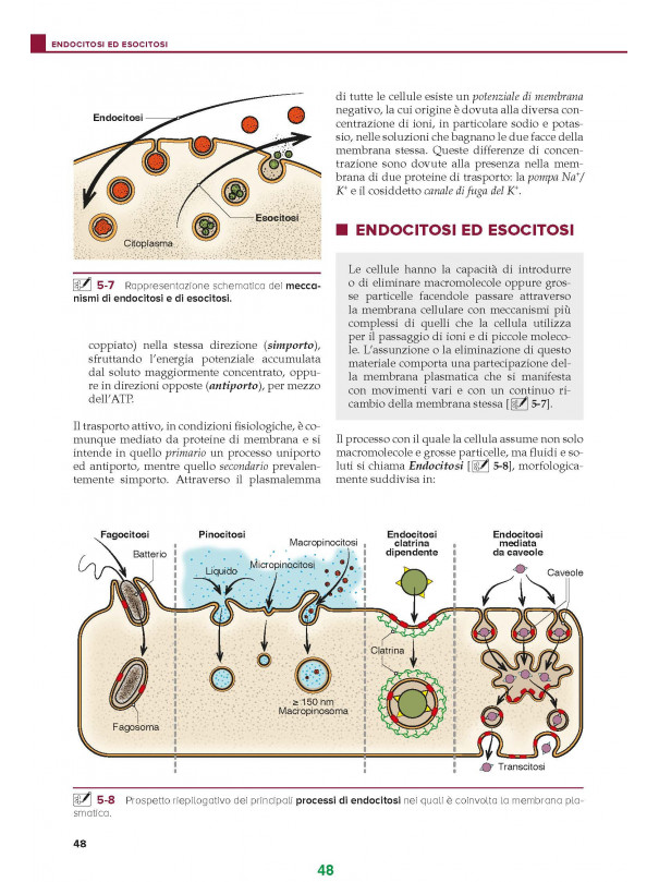 CITOLOGIA - ISTOLOGIA