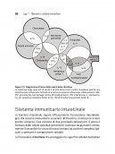 MICROBI NEL NOSTRO INTESTINO: FATTI E MITI