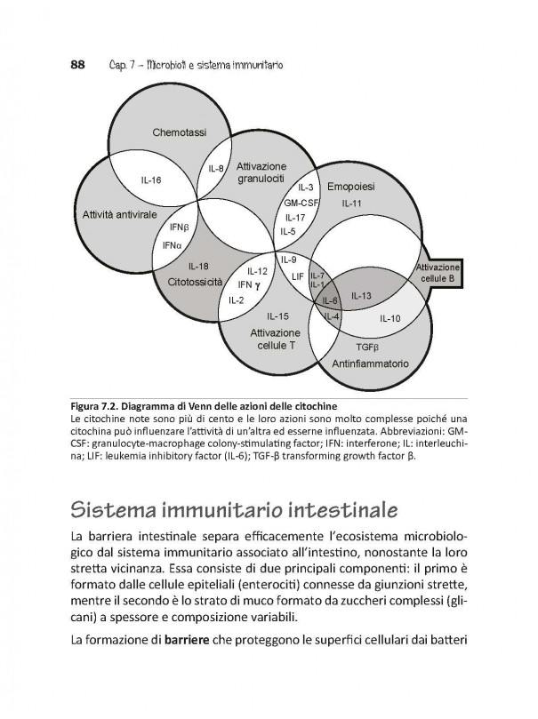 MICROBI NEL NOSTRO INTESTINO: FATTI E MITI