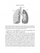 Lezioni di respiro