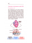 Ecocardiografia transesofagea con ECO 3D
