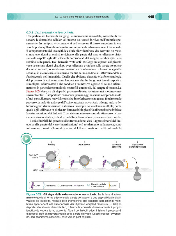 Patogenesi-Basi genetiche e molecolari delle malattie