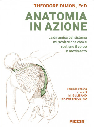 Anatomia in azione: La dinamica del sistema muscolare che crea e sostiene il corpo in movimento