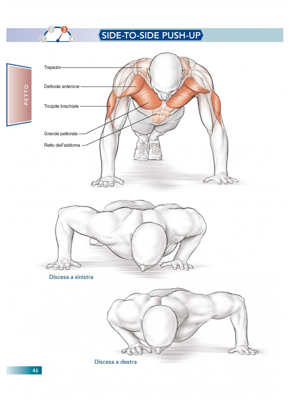 Allenamento a corpo libero e anatomia umana