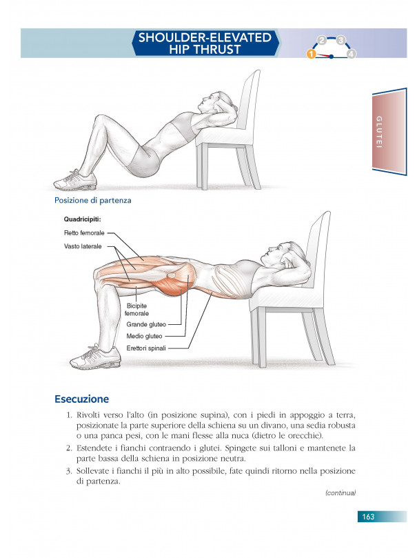 Allenamento a corpo libero e anatomia umana