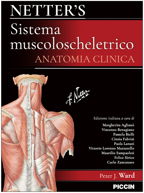 Netter’s Sistema muscoloscheletrico. Anatomia clinica