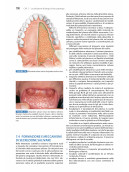 Odontostomatologia per l’igienista dentale - Basi Anatomo-Cliniche e Protocolli Operativi