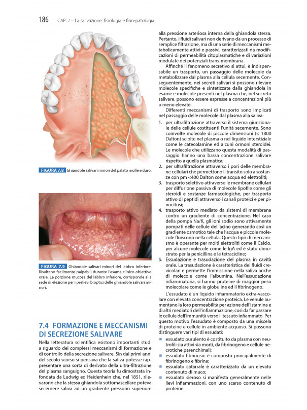 Odontostomatologia per l’igienista dentale - Basi Anatomo-Cliniche e Protocolli Operativi