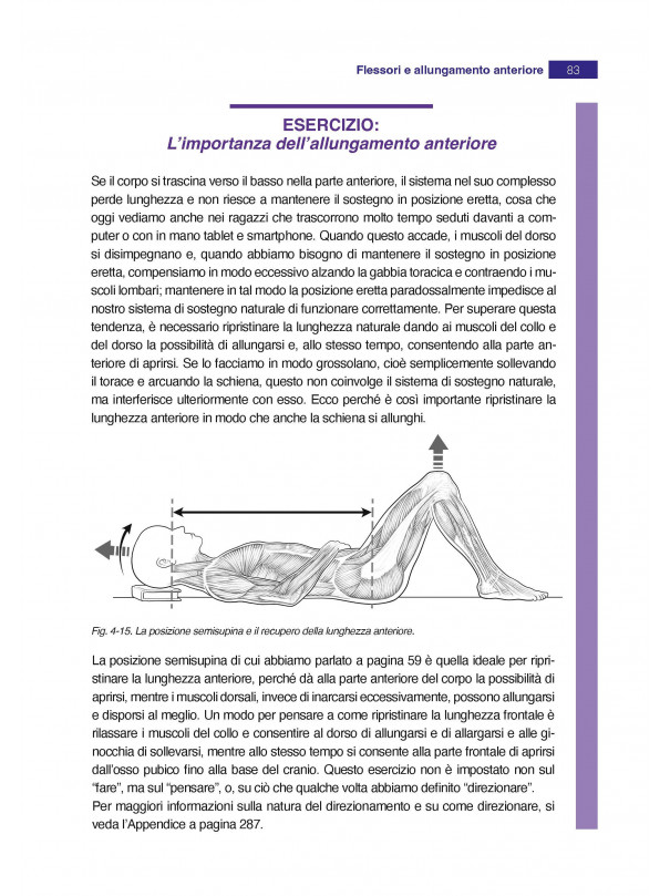 Anatomia in azione: La dinamica del sistema muscolare che crea e sostiene il corpo in movimento