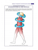 Anatomia in azione: La dinamica del sistema muscolare che crea e sostiene il corpo in movimento