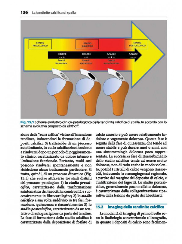 ECOGRAFIA MUSCOLOSCHELETRICA in Patologia Ortopedica e Reumatologica