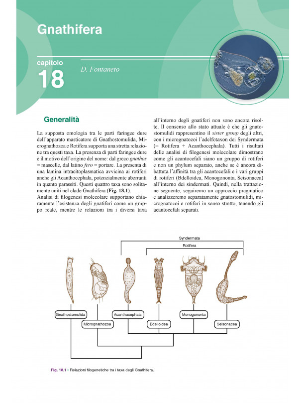 Manuale di Zoologia