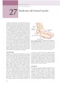 Elettromiografia e Disordini neuromuscolari: Correlazioni clinico-elettrofisiologiche ed ecografiche