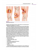 Clinica Ortopedica