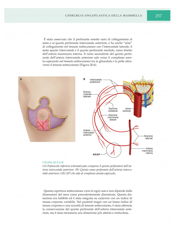 Chirurgia Oncoplastica della Mammella-Atlante di tecniche chiurgiche