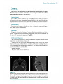 The Nasal Septum