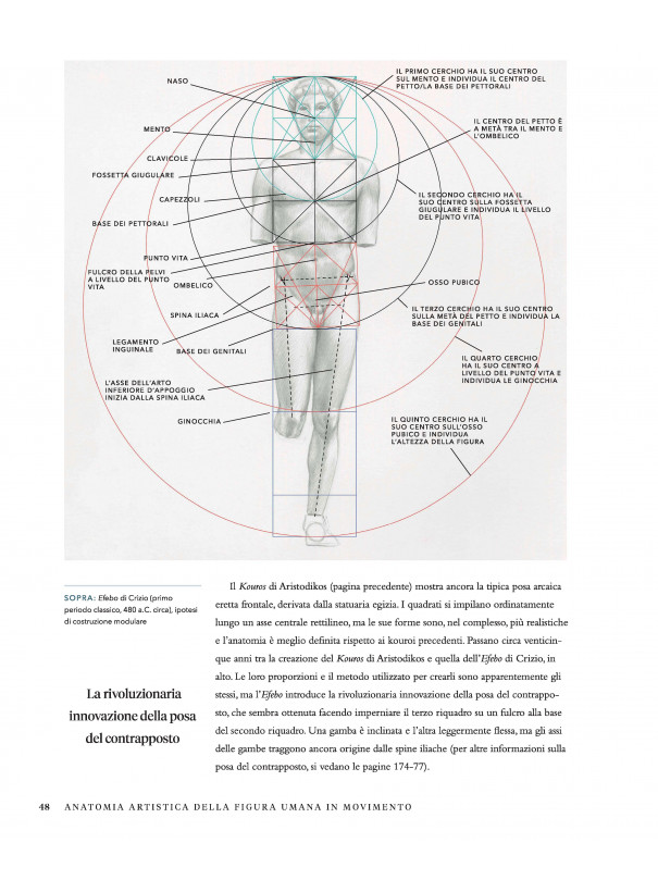 Anatomia artistica della figura umana in movimento