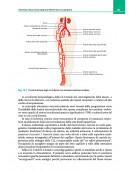 Lezioni di Geriatria