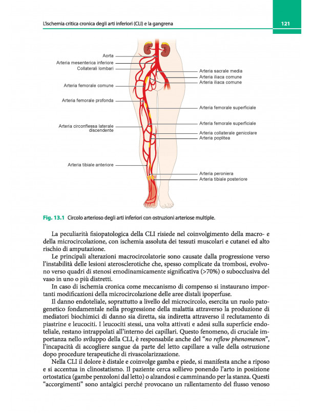 Lezioni di Geriatria