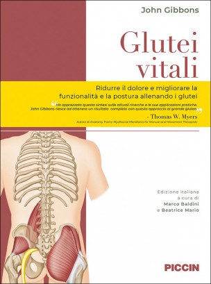 Glutei vitali. L’importanza di connettere il ciclo del passo al dolore e alla disfunzione