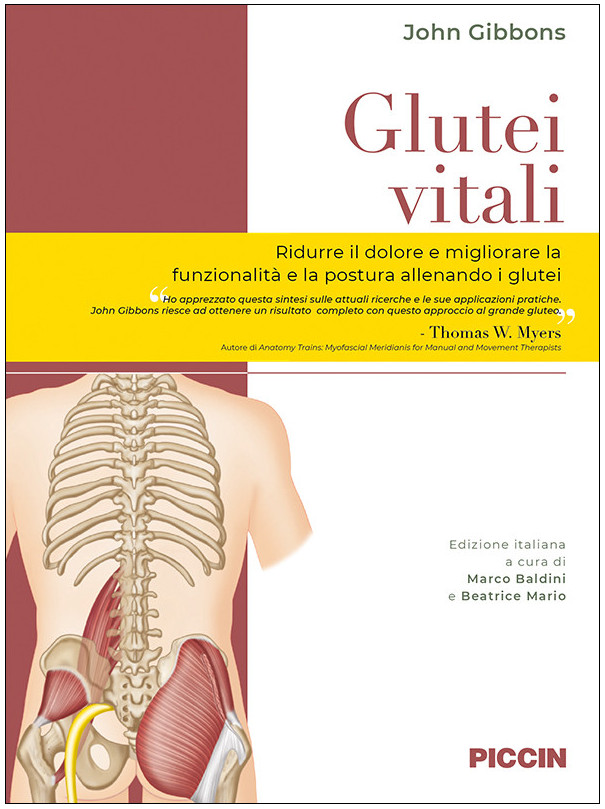 Glutei vitali. L’importanza di connettere il ciclo del passo al dolore e alla disfunzione