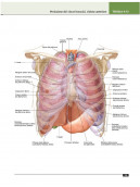 Atlante di anatomia