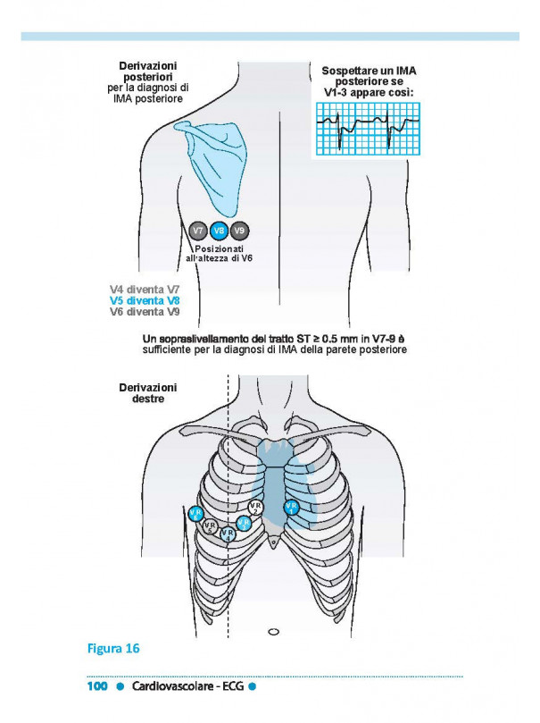 VADEMECUM DI MEDICINA INTERNA