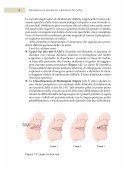 Fondamenti di Anestesia, Medicina perioperatoria e Medicina Critica