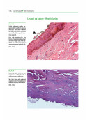 Atlante di istopatologia forense