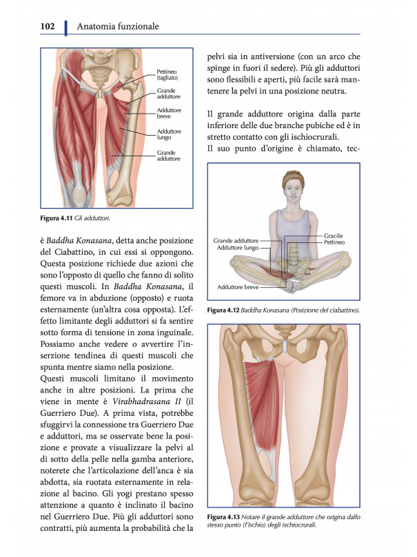 Anatomia funzionale dello Yoga. Una guida per praticanti e insegnanti