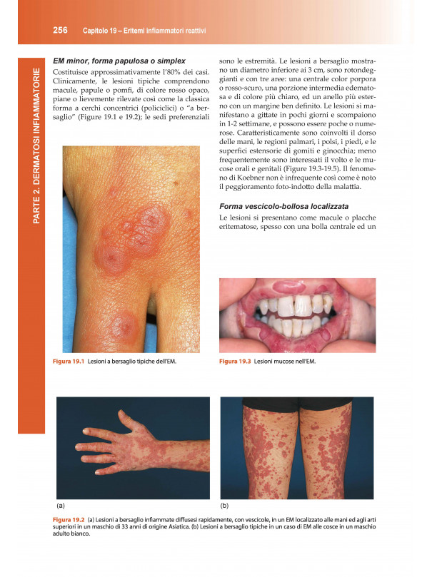 Manuale di Dermatologia di Rook