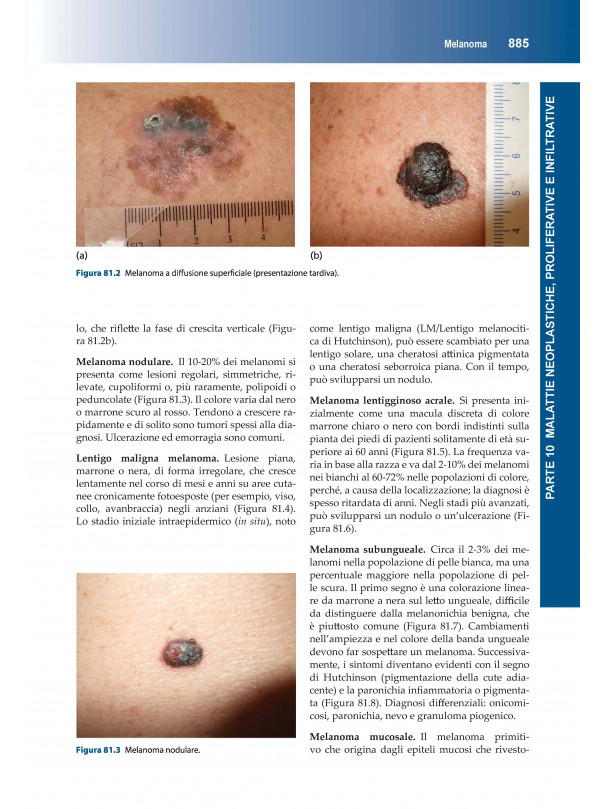 Manuale di Dermatologia di Rook