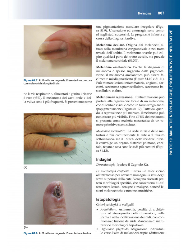 Manuale di Dermatologia di Rook