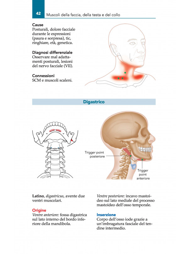 Atlante tascabile dei Trigger Point.